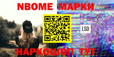 стаф Бийск