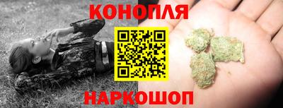 стаф Бийск