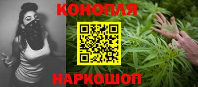 стаф Бийск