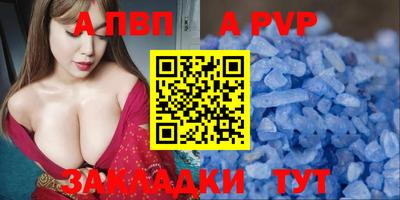 стаф Берёзовский