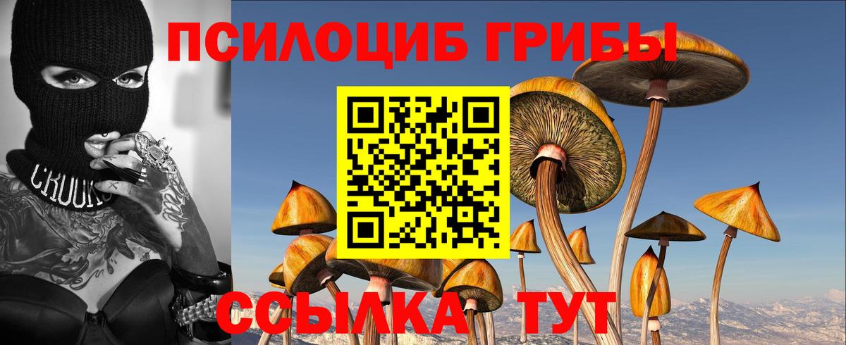Псилоцибиновые грибы MAGIC MUSHROOMS Карталы